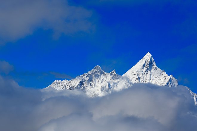 游侠客旅行