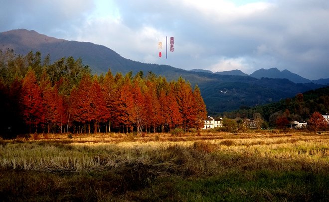 游侠客旅行