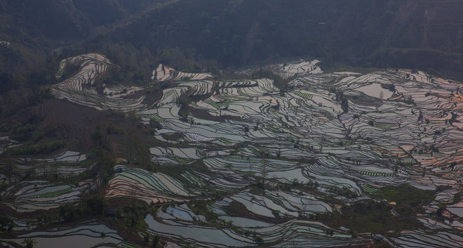 游侠客旅行