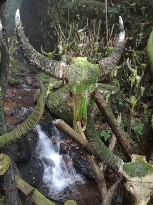 游侠客旅行