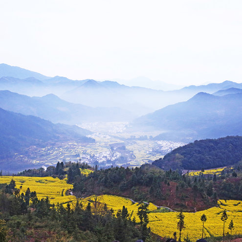 游侠客旅行