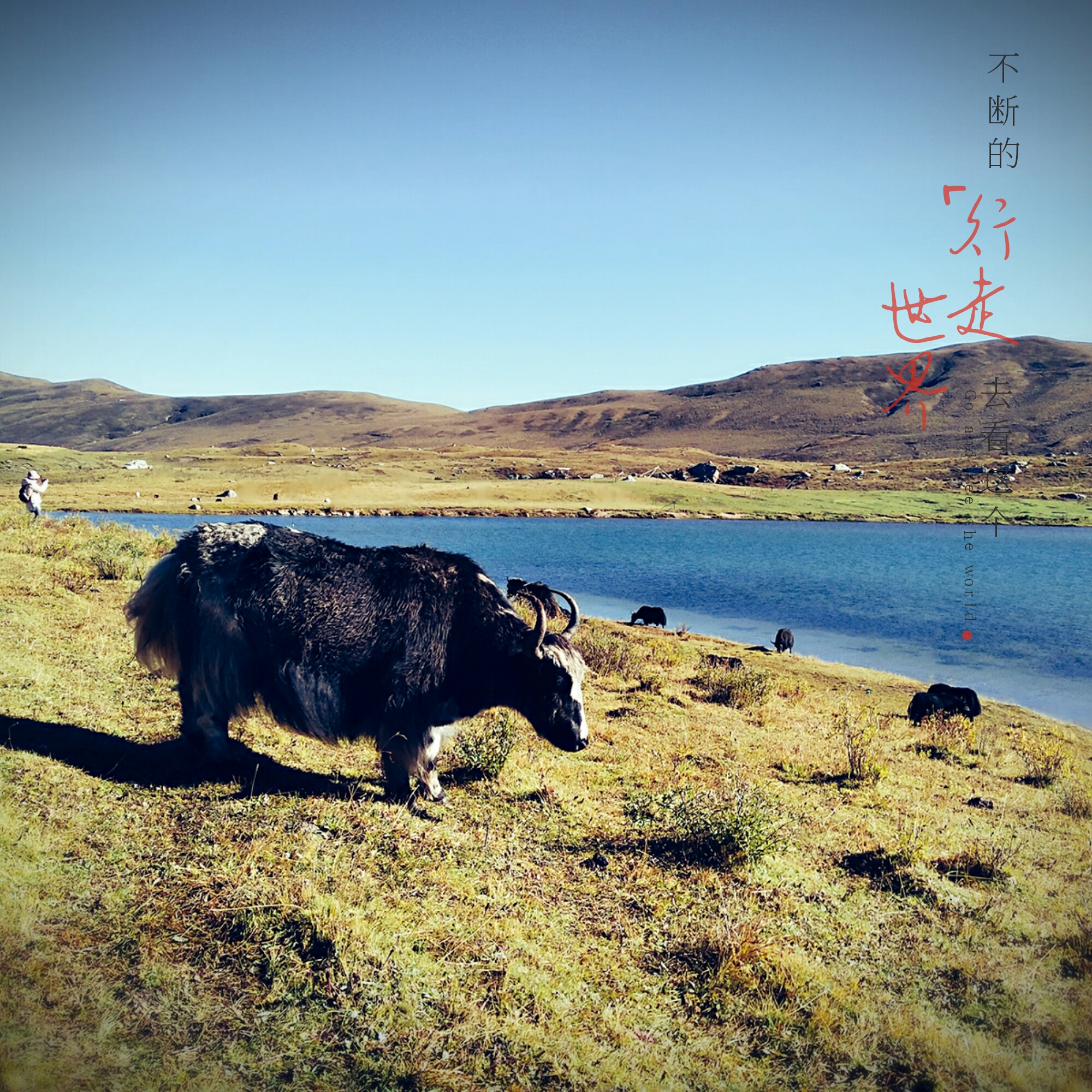 游侠客旅行