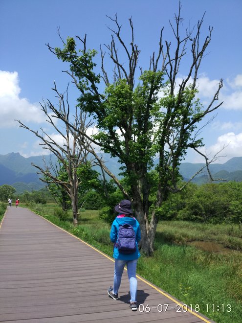 游侠客旅行