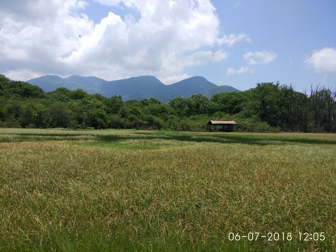 游侠客旅行