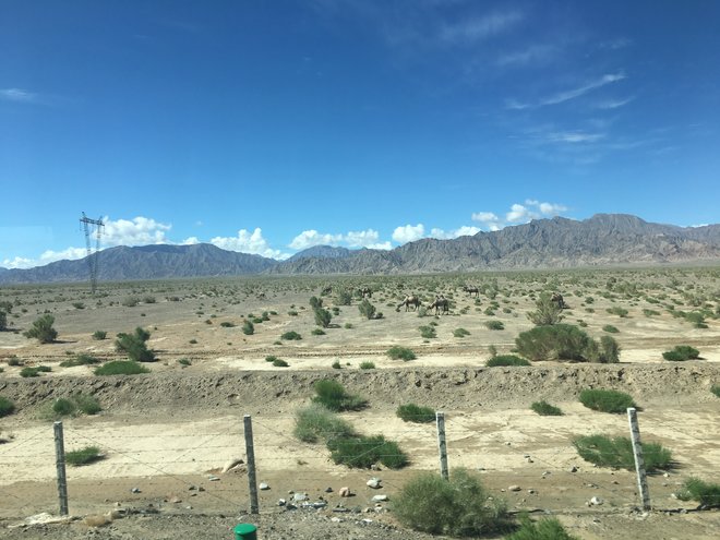 游侠客旅行