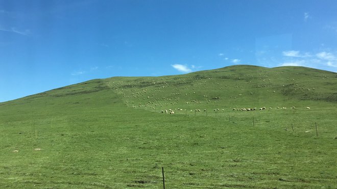 游侠客旅行