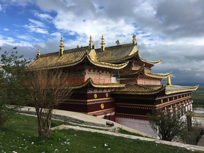 游侠客旅行