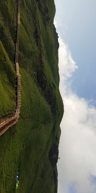 游侠客旅行