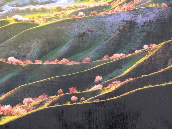 游侠客旅行