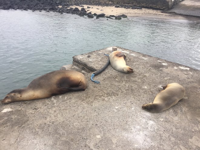 游侠客旅行