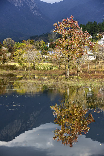 游侠客旅行