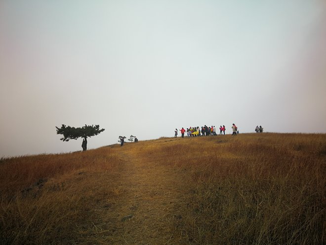 游侠客旅行