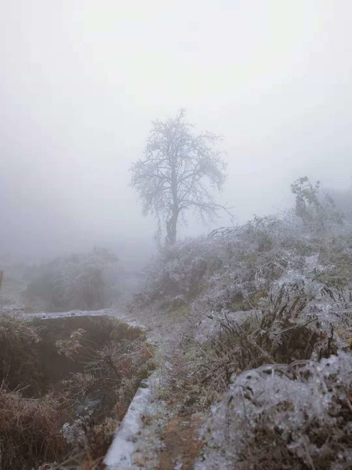 游侠客旅行