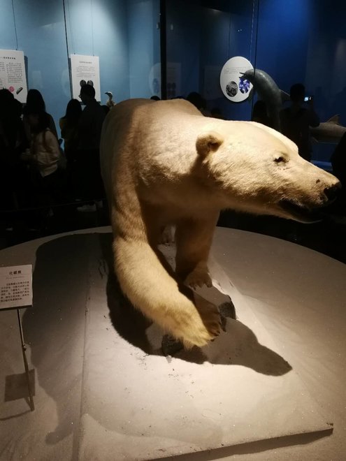 游侠客旅行