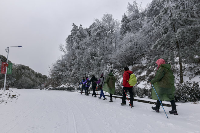 游侠客旅行