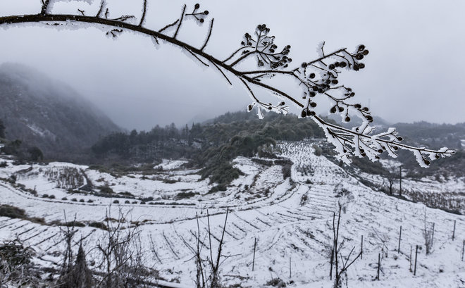 游侠客旅行