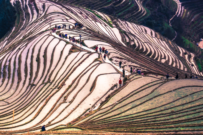 游侠客旅行