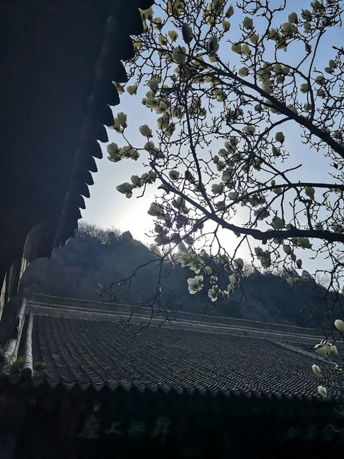 游侠客旅行