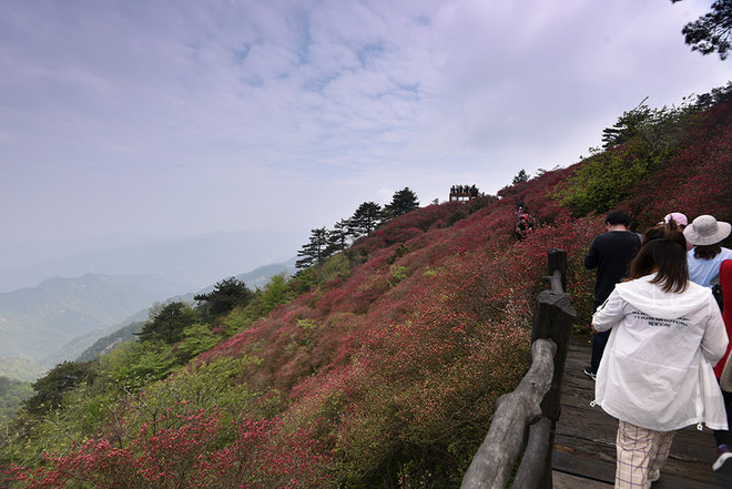 游侠客旅行