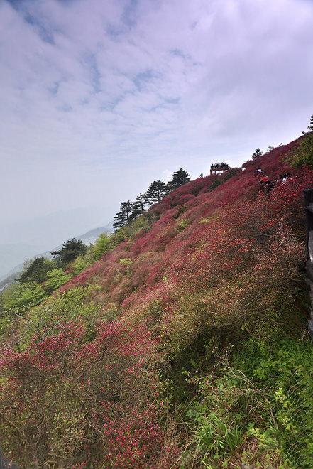 游侠客旅行