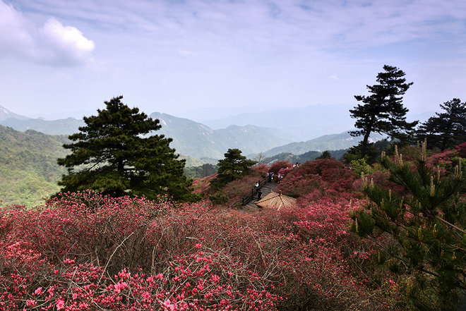 游侠客旅行