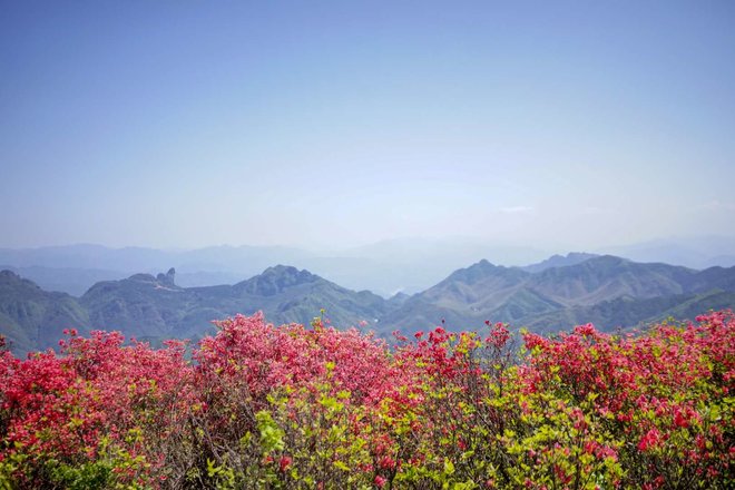 游侠客旅行