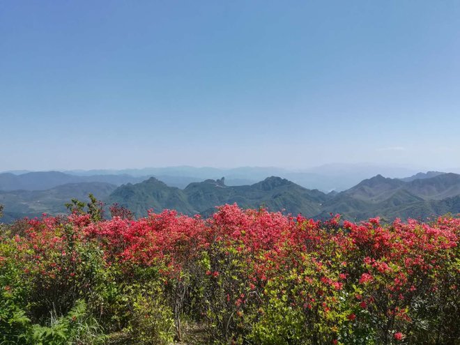 游侠客旅行