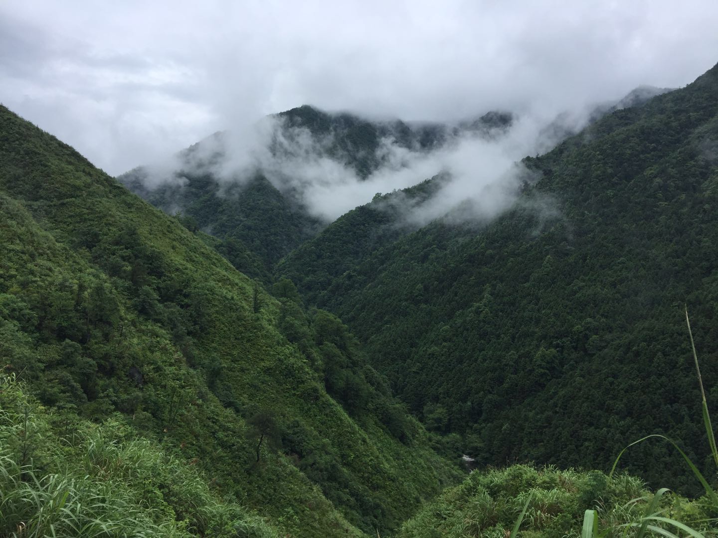 游侠客旅行