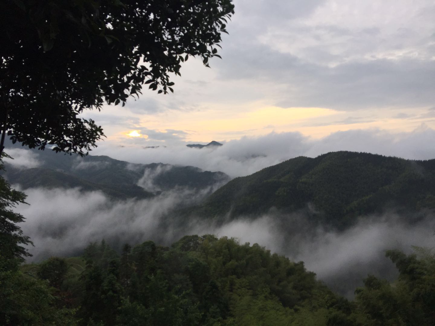游侠客旅行