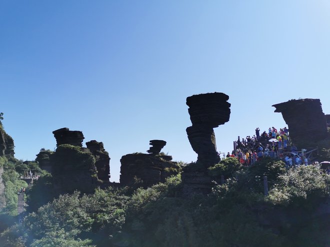 游侠客旅行