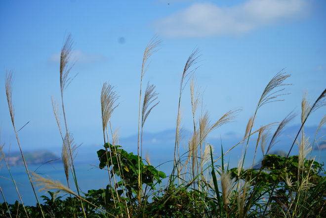 游侠客旅行
