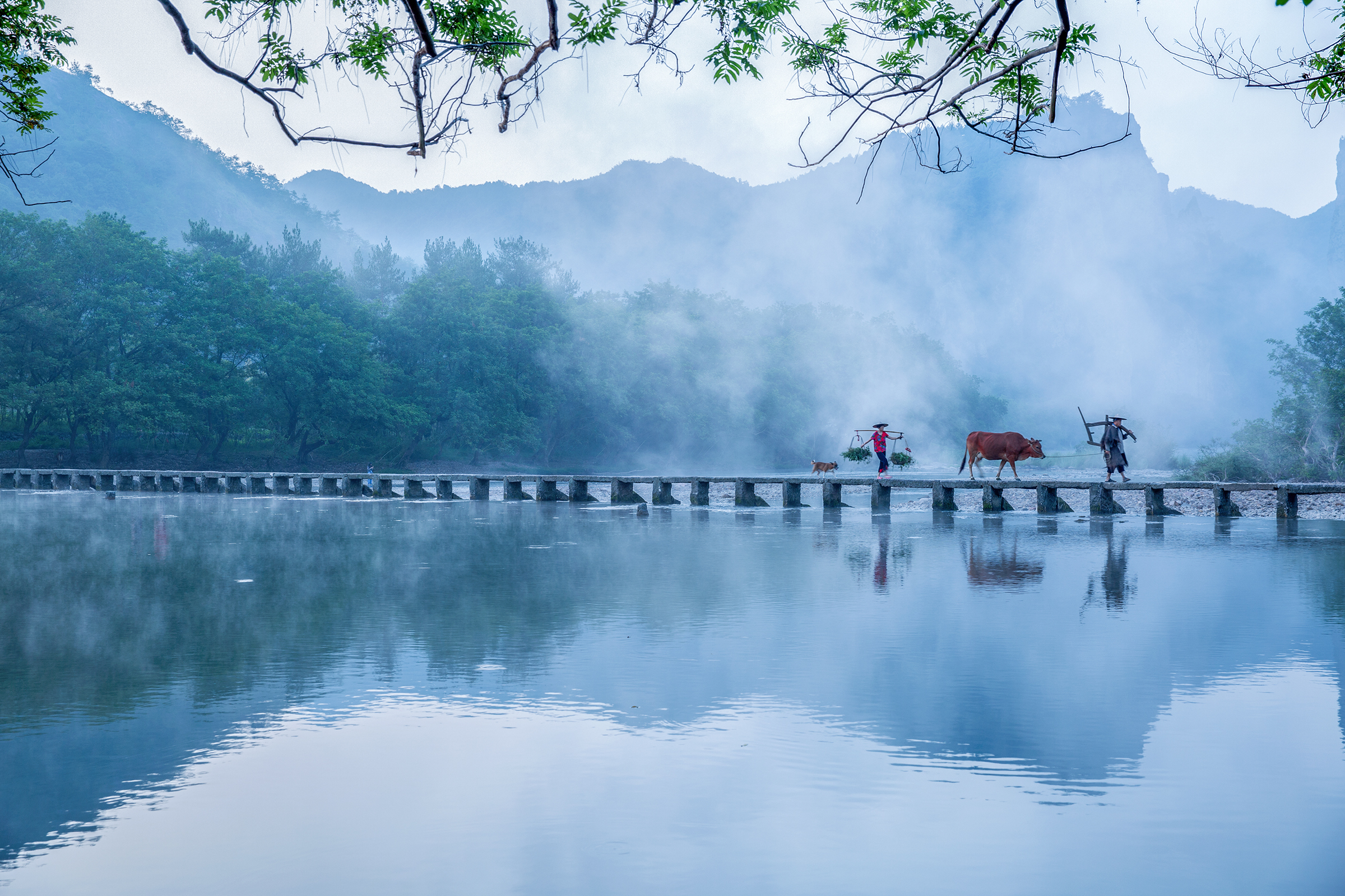 游侠客旅行