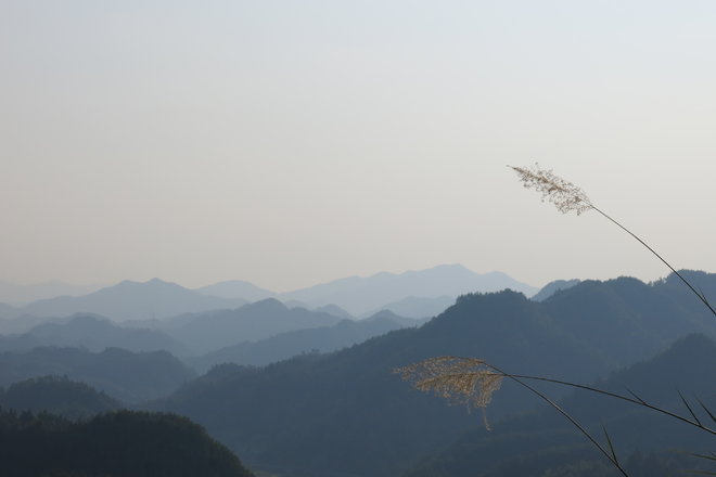 游侠客旅行