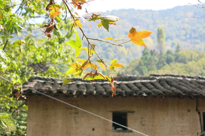 游侠客旅行