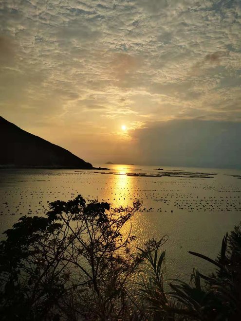 游侠客旅行
