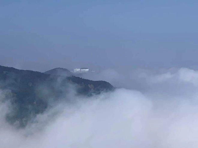 游侠客旅行