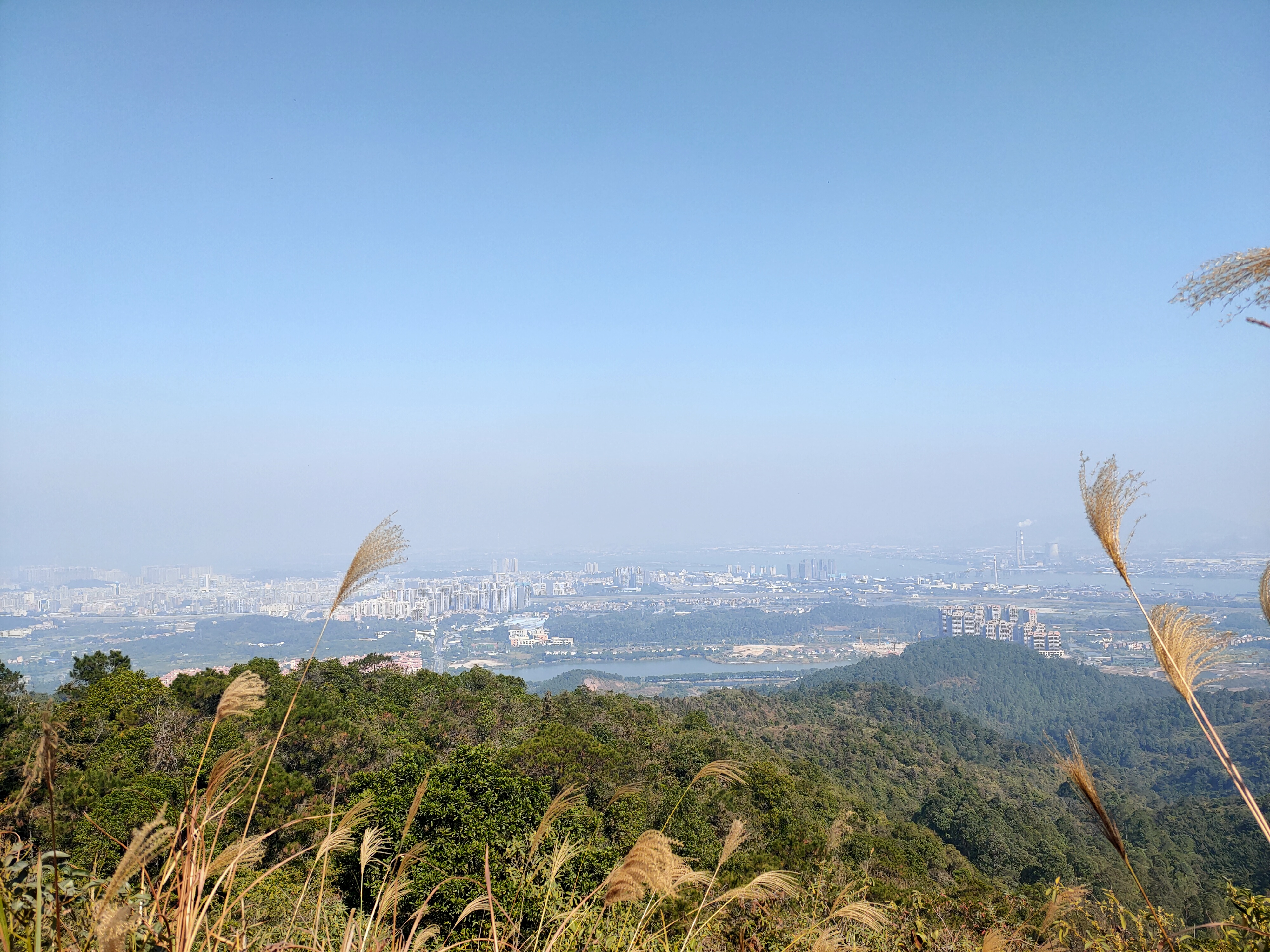 2日: 登高明茶山,寻味当地特色美食