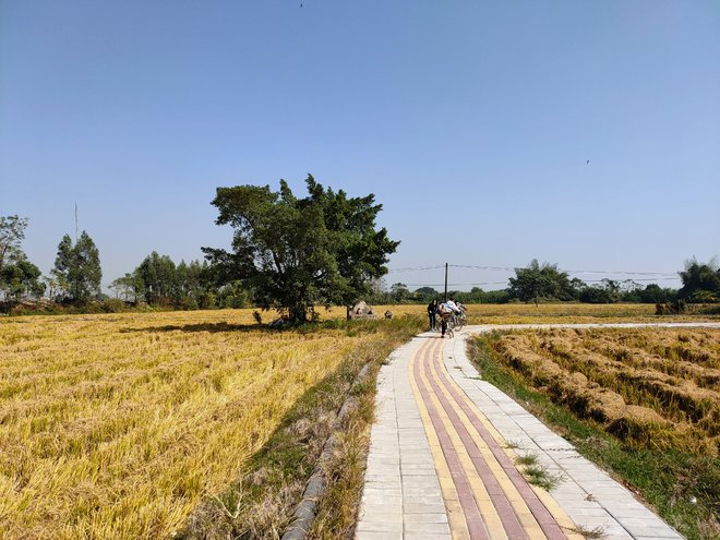 游侠客旅行