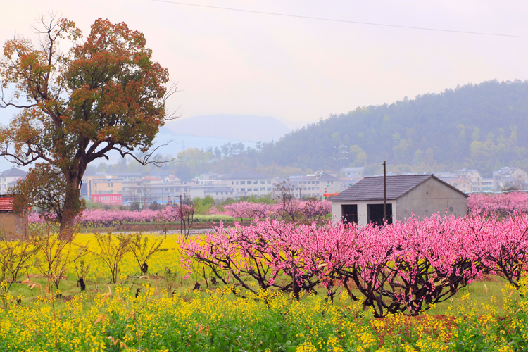 花都开好了 - 摄影作品 - 游侠客旅游网-旅行者的社交网络