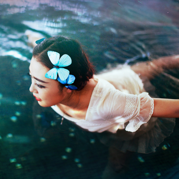 出水芙蓉 - 摄影作品