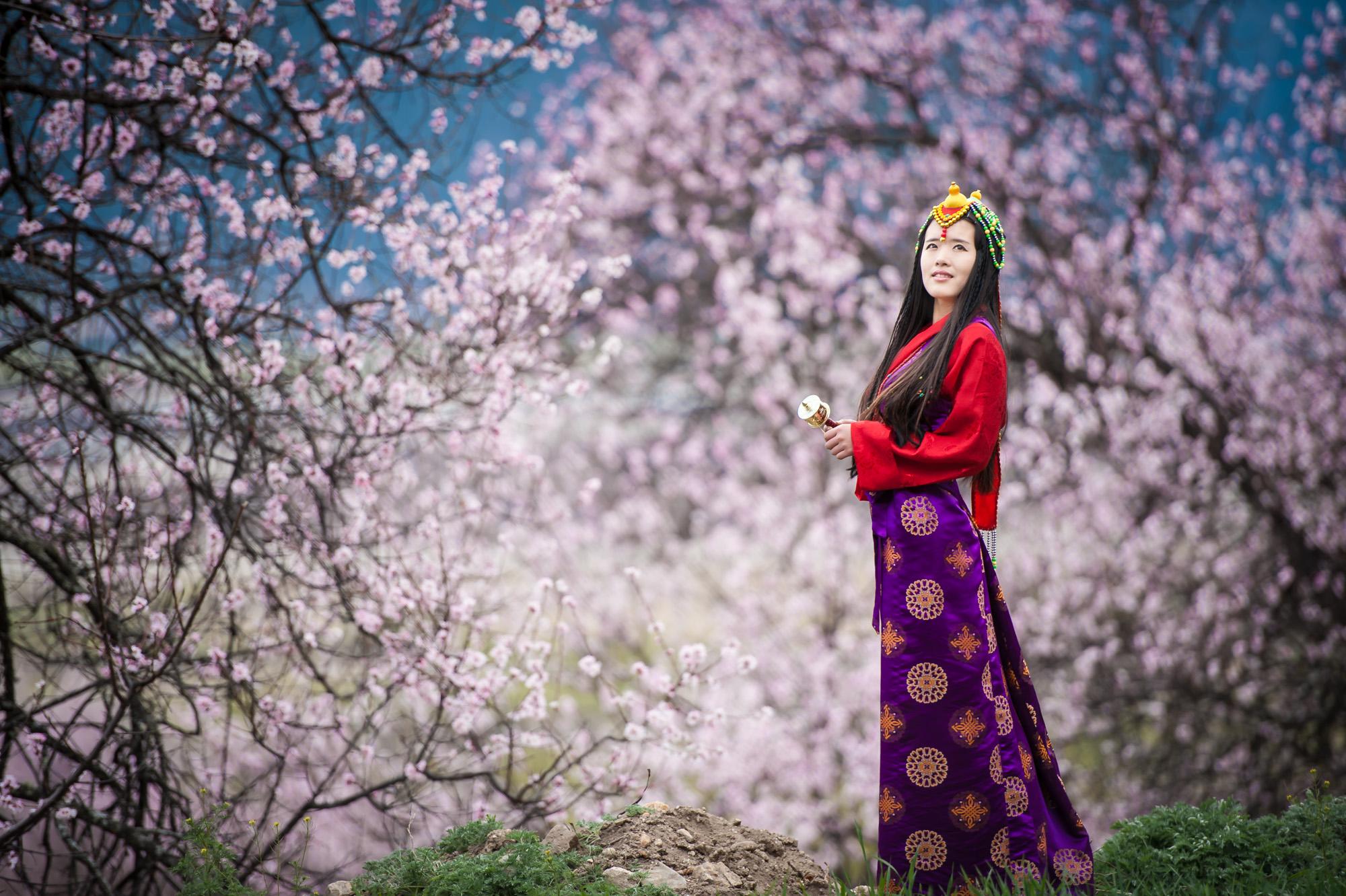 桃花树下桃花仙