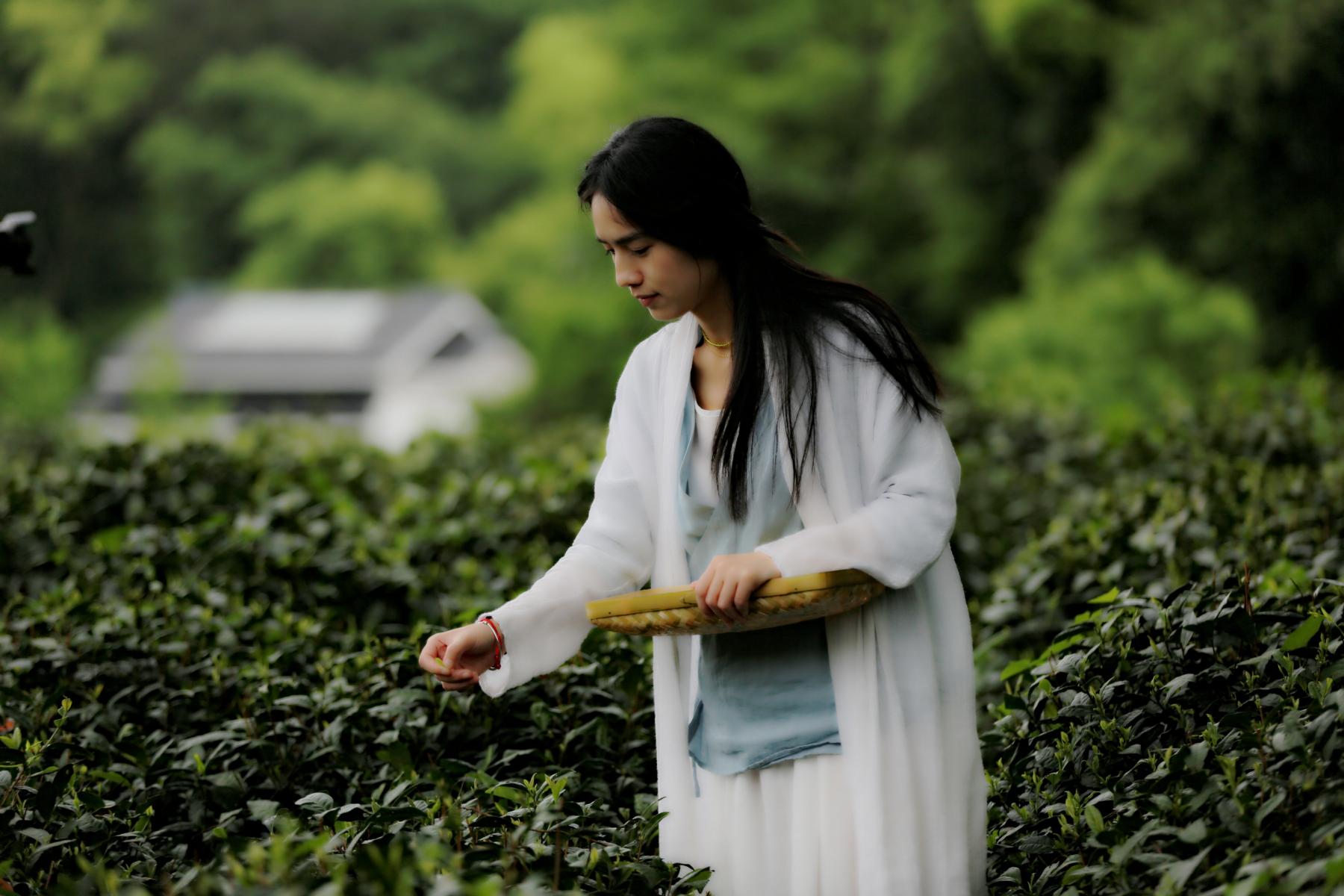 <em>茶道美女</em>外拍 - 摄影作品 - 游侠客旅游网-旅行者