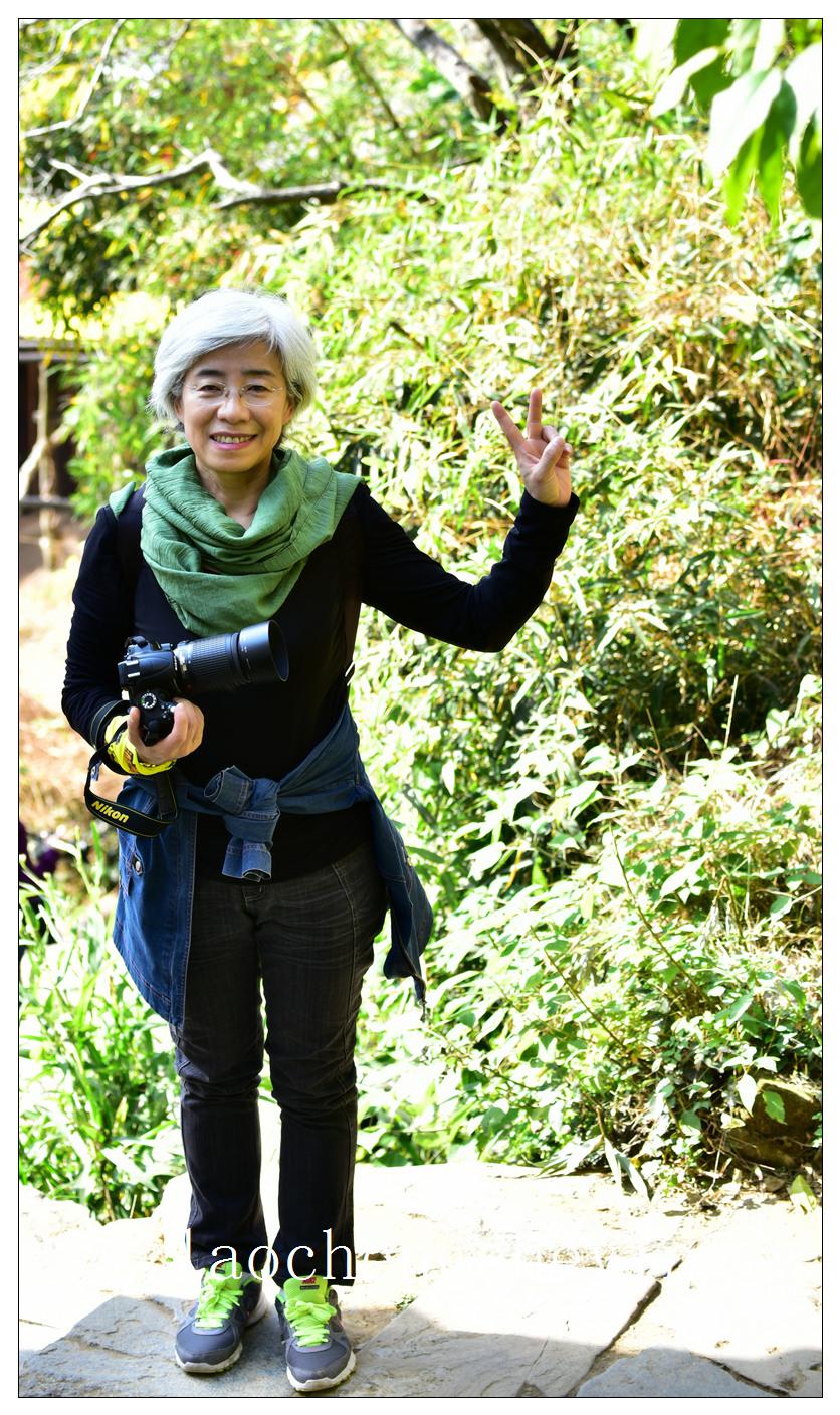 游侠客牛阿桂的风采 - 摄影作品