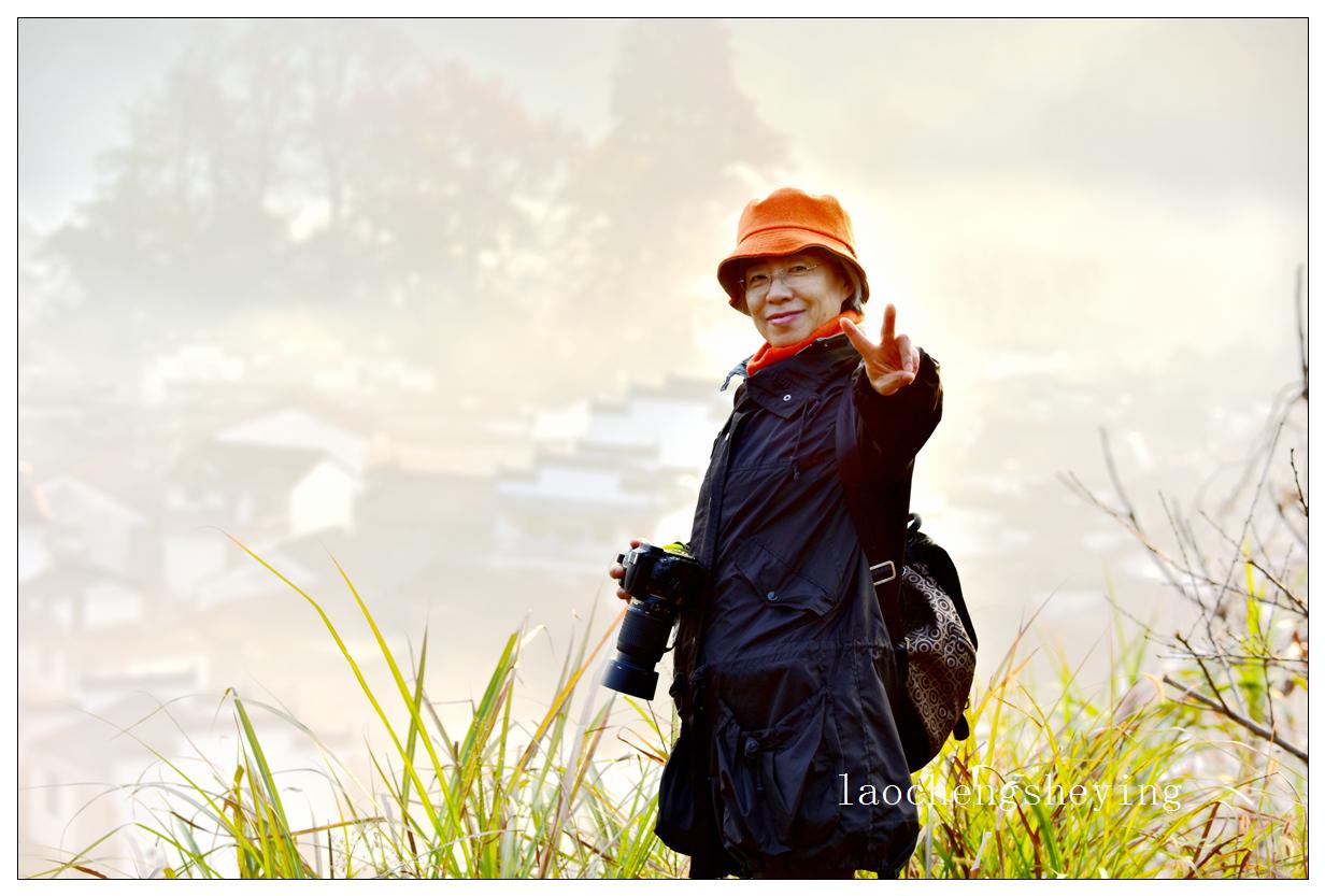 游侠客牛阿桂的风采 - 摄影作品