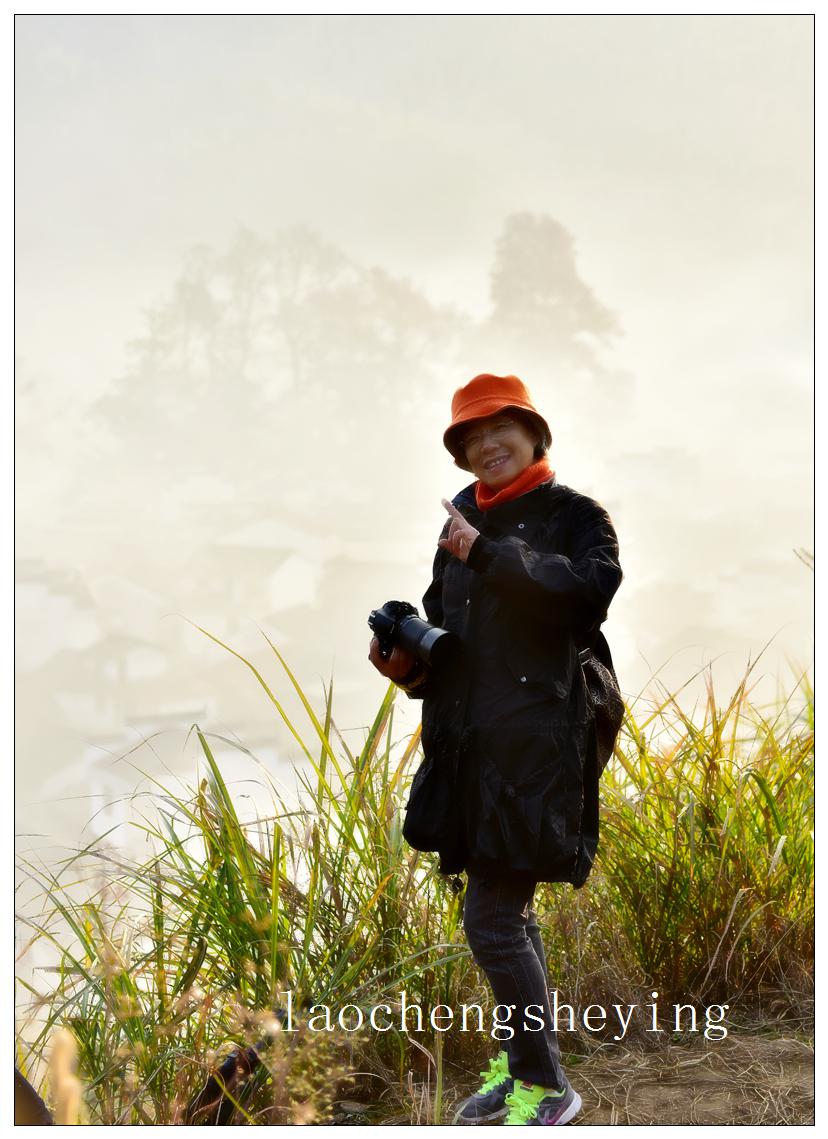 游侠客牛阿桂的风采 - 摄影作品