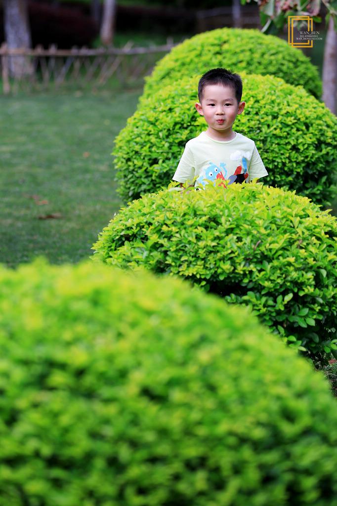给嘉宝小朋友的生日礼物. - 摄影作品