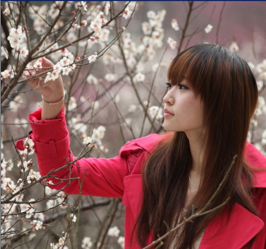 �����컨�¡�2.23 �����������̽÷��������Ӱ���Ļ������Ʊ������վ��