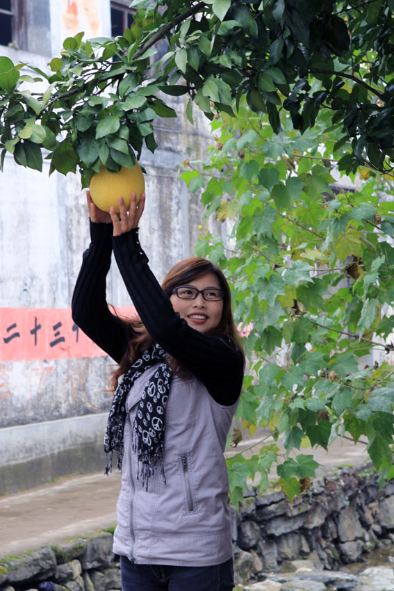 11-27\/28千岛湖:红叶湾~龙川湾~芹川古村(层林