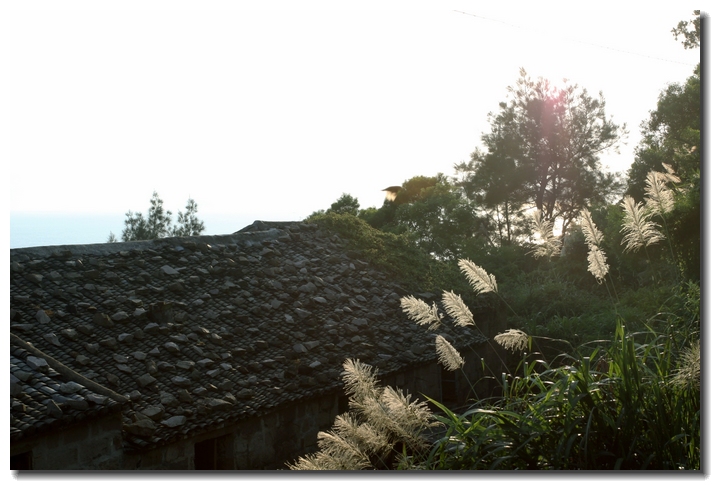 杭州南麂岛_南麂岛风光照片_杭州南麂岛海鲜(4)