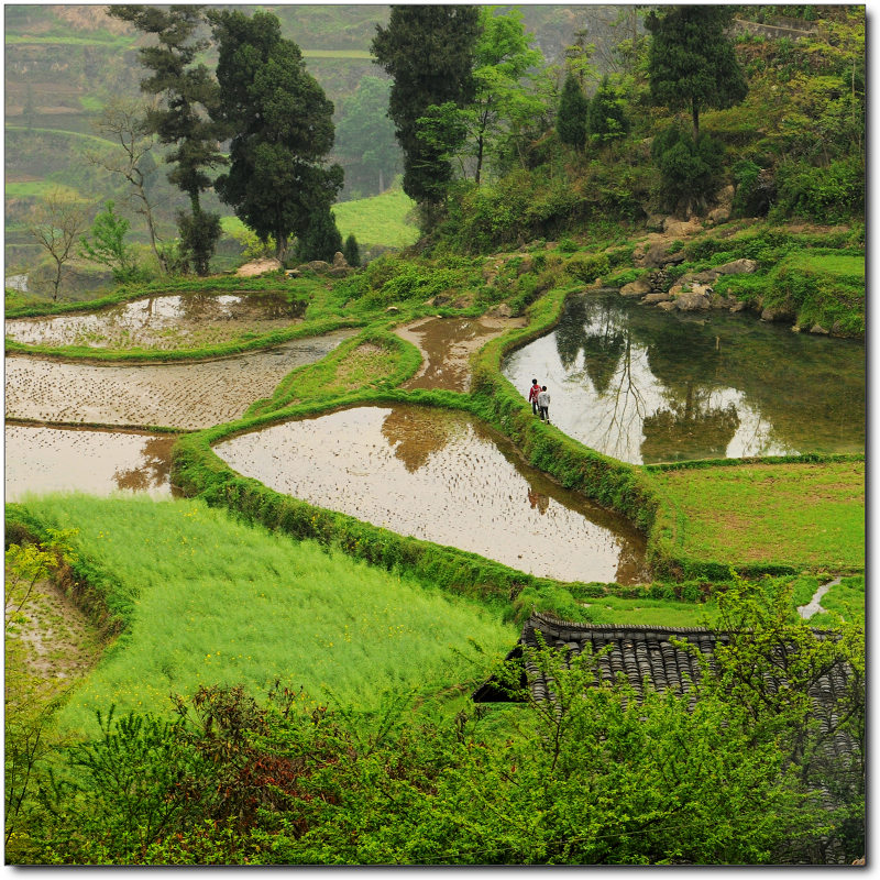 花开苗乡--黔东南行摄<em>台江姊妹节</em>影像全纪录(2